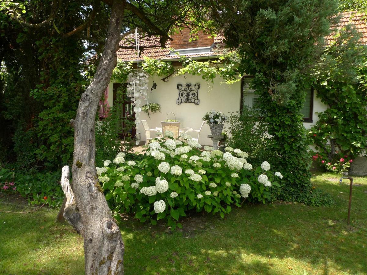 Gemuetliches Gaestehaus Berlin Bohnsdorf, Naehe Flughafen Schoenefeld Bagian luar foto